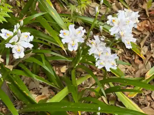 円覚寺(神奈川県)