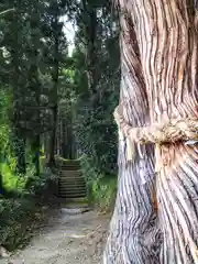 山神社(宮城県)