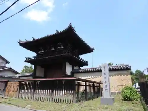 般若寺 ❁﻿コスモス寺❁(奈良県)