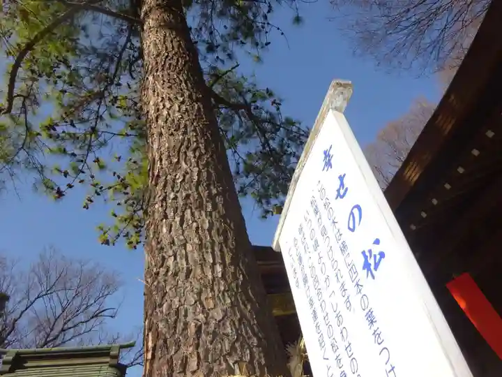 前鳥神社の自然