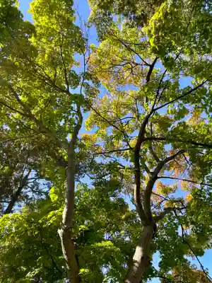 伊達神社(北海道)