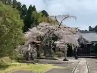 成願寺(千葉県)