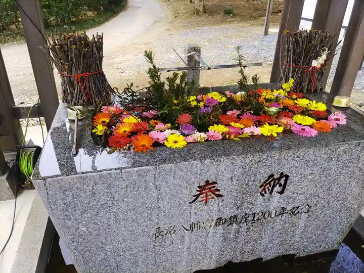 長沼八幡宮(栃木県)