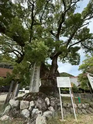 本遠寺(山梨県)