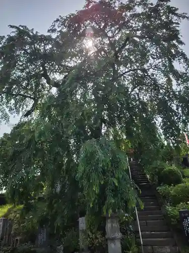 龍光寺(福島県)