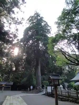 狭野神社のその他建物