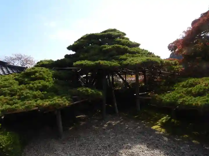 善峯寺(京都府)