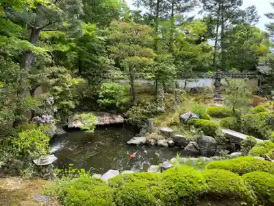 大雄院(京都府)