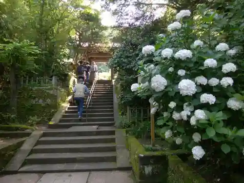 円覚寺(神奈川県)