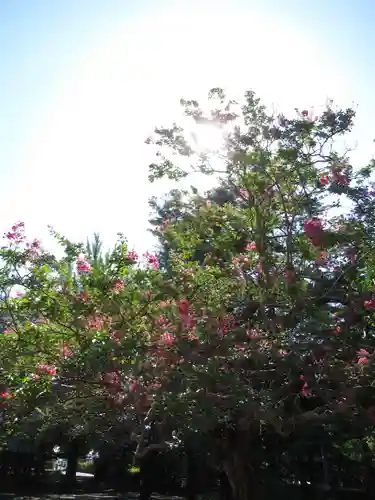 金乘院(千葉県)