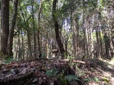 猿投神社　西の宮の自然