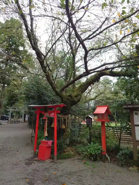 冠稲荷神社の自然