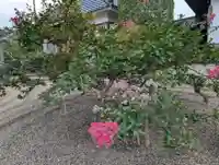 天性寺(福島県)