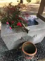 高司神社〜むすびの神の鎮まる社〜の{uncategorized: "未分類", other: "その他", undefined: "問題あり", building: "その他建物", grave: "お墓", sacred_gate: "鳥居", guardian: "狛犬", statue: "像", buddha: "仏像", history: "歴史", nature: "自然", garden: "庭園", animal: "動物", pagoda: "塔", temizu: "手水舎", mountain_gate: "山門・神門", sanctuary: "本殿・本堂", subordinate: "末社・摂社", art: "芸術", scenery: "景色", jizo: "地蔵", ema: "絵馬", goshuin: "御朱印", omikuji: "おみくじ", items: "授与品その他", amulet: "お守り", goshuincho: "御朱印帳", eats: "食事", festival: "お祭り", votive_dance: "神楽", shichigosan: "七五三参", wedding: "結婚式", experience: "体験その他", initially: "初詣", around: "周辺", anti_infection: "感染症対策"}