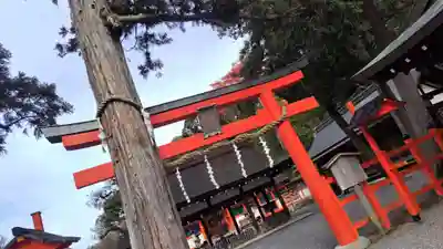 吉田神社(京都府)