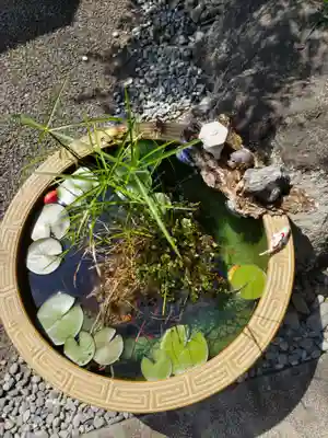 普賢寺の手水舎