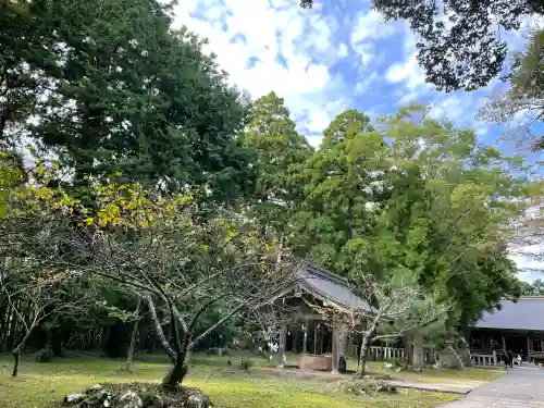 倭文神社の{uncategorized: "未分類", other: "その他", undefined: "問題あり", building: "その他建物", grave: "お墓", sacred_gate: "鳥居", guardian: "狛犬", statue: "像", buddha: "仏像", history: "歴史", nature: "自然", garden: "庭園", animal: "動物", pagoda: "塔", temizu: "手水舎", mountain_gate: "山門・神門", sanctuary: "本殿・本堂", subordinate: "末社・摂社", art: "芸術", scenery: "景色", jizo: "地蔵", ema: "絵馬", goshuin: "御朱印", omikuji: "おみくじ", items: "授与品その他", amulet: "お守り", goshuincho: "御朱印帳", eats: "食事", festival: "お祭り", votive_dance: "神楽", shichigosan: "七五三参", wedding: "結婚式", experience: "体験その他", initially: "初詣", around: "周辺", anti_infection: "感染症対策"}
