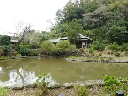 回春院の庭園