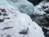 上尾御嶽神社の自然