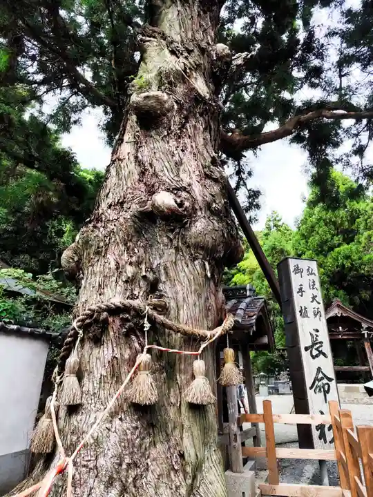 極楽寺(徳島県)