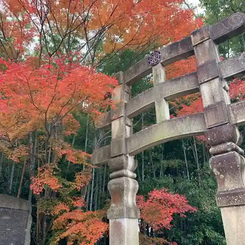 化野念仏寺の鳥居