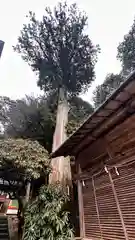 都祁水分神社(奈良県)