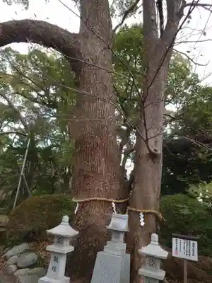 米之宮浅間神社(静岡県)