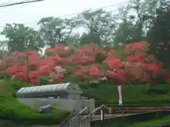 正法寺(埼玉県)