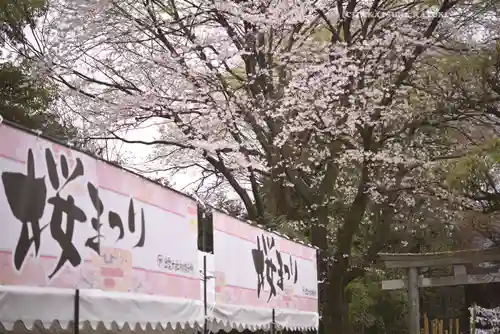 出雲大社相模分祠の自然