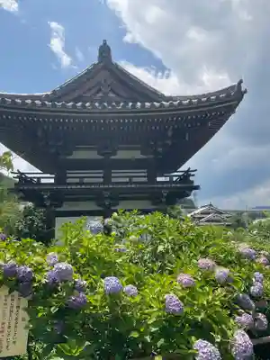 観音寺(京都府)