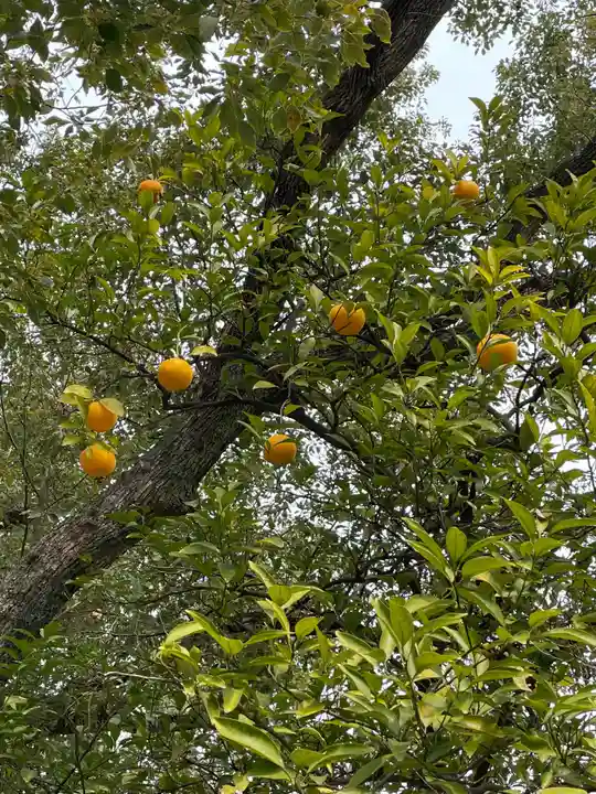 田蓑神社の自然