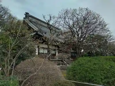 高円寺(東京都)