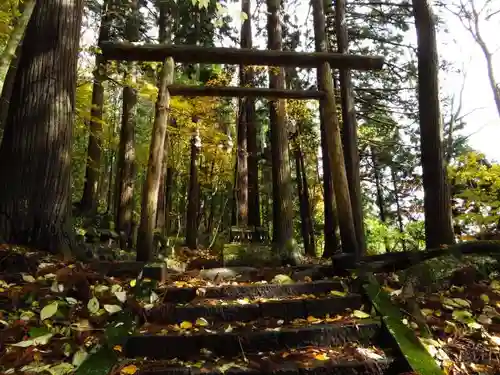 戸隠神社火之御子社の鳥居