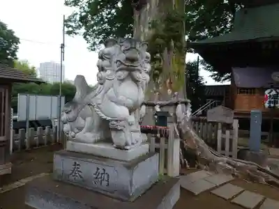 守谷総鎮守 八坂神社(茨城県)