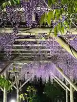 亀戸天神社(東京都)