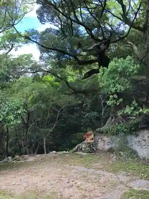 住吉神社の{uncategorized: "未分類", other: "その他", undefined: "問題あり", building: "その他建物", grave: "お墓", sacred_gate: "鳥居", guardian: "狛犬", statue: "像", buddha: "仏像", history: "歴史", nature: "自然", garden: "庭園", animal: "動物", pagoda: "塔", temizu: "手水舎", mountain_gate: "山門・神門", sanctuary: "本殿・本堂", subordinate: "末社・摂社", art: "芸術", scenery: "景色", jizo: "地蔵", ema: "絵馬", goshuin: "御朱印", omikuji: "おみくじ", items: "授与品その他", amulet: "お守り", goshuincho: "御朱印帳", eats: "食事", festival: "お祭り", votive_dance: "神楽", shichigosan: "七五三参", wedding: "結婚式", experience: "体験その他", initially: "初詣", around: "周辺", anti_infection: "感染症対策"}