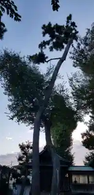 上小岩天祖神社(東京都)