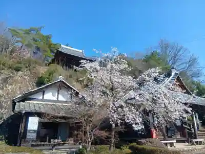 関善光寺(岐阜県)