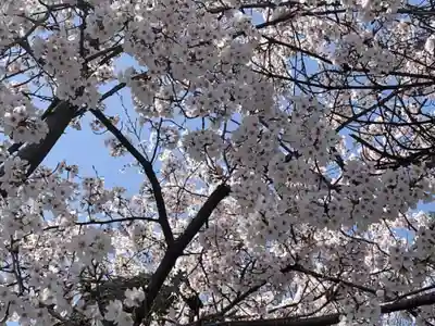 世直神社(福井県)