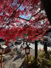 新倉富士浅間神社(山梨県)