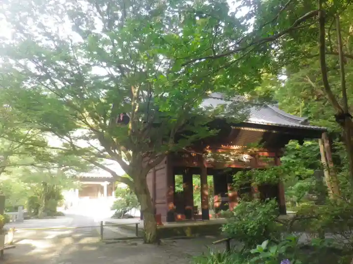 妙本寺のその他建物