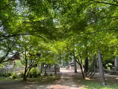 龍泉寺(岡山県)