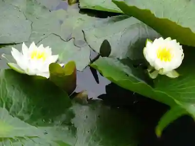 天台宗　長窪山　正覚寺(神奈川県)