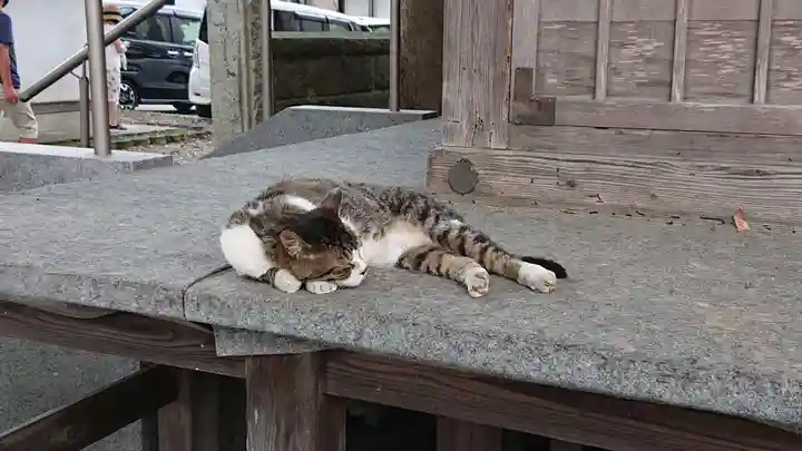 八枝神社の動物
