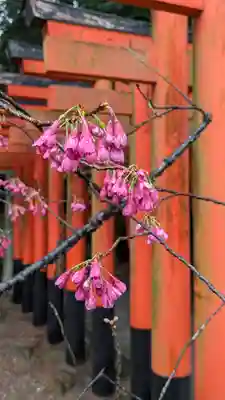 建部大社(滋賀県)