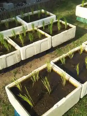 鷲神社のその他建物