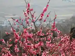 筑波山神社(茨城県)