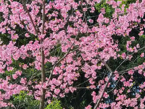 椙山神社(東京都)