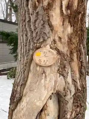 新琴似神社(北海道)