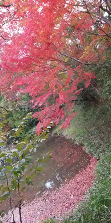 鍬山神社の自然